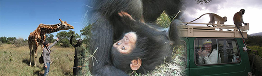 KenyaFieldSchool