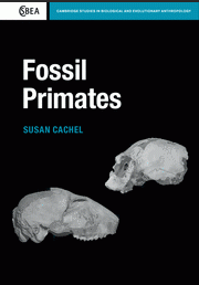 Fossil Primates book cover