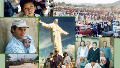 goldstein collage