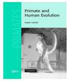Primate and Human Evolution book cover